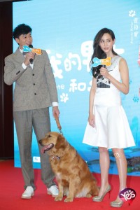 美腿高跟张钧甯的男友和狗出席发布会（第4张/共10张）